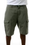 Men Zoo York Shorts